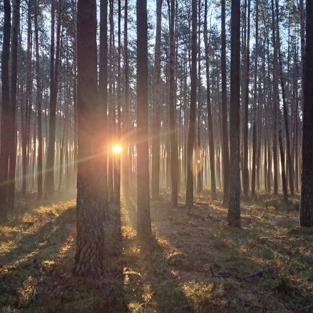 Прогнозы погоды с чудесными фотографиями, сделанными Arturo