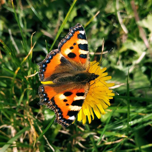 世界的天气照片. 天气预报，带Olena-13精美的照片