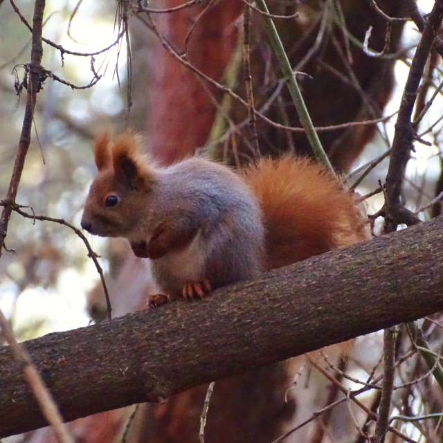 Orange. Weather forecasts with beautiful photos by Михаил Гавриков Photos in Kharkiv