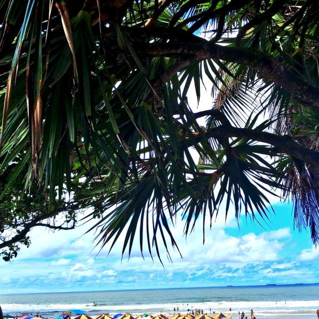 天气预报，带davidonefighter精美的照片