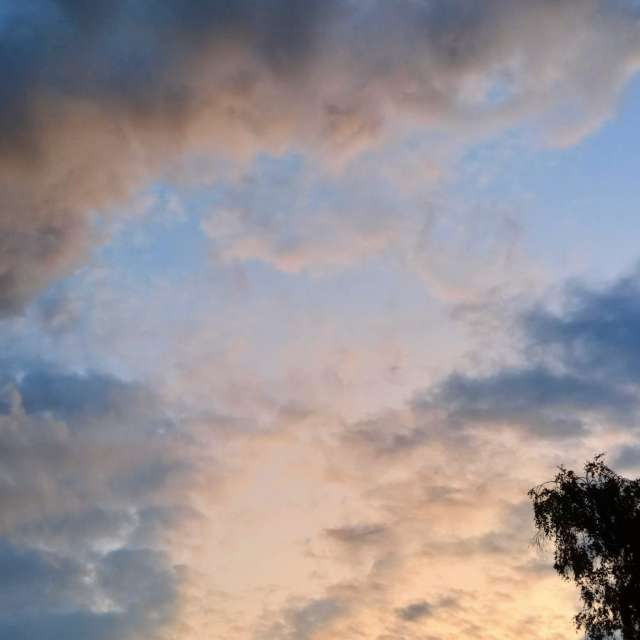 D-I-Eの美しい写真による天気予報