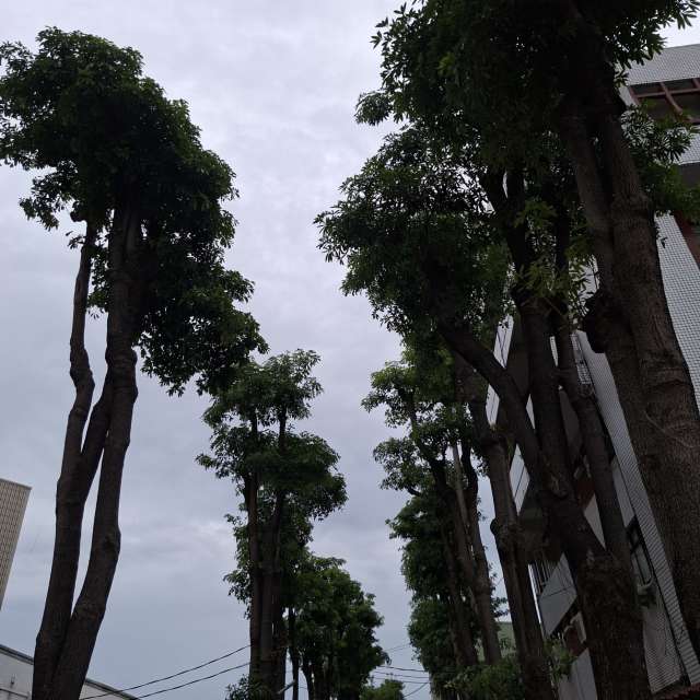 Side. Weather forecasts with beautiful photos by Wen-ya Huang Photos in Kaohsiung City