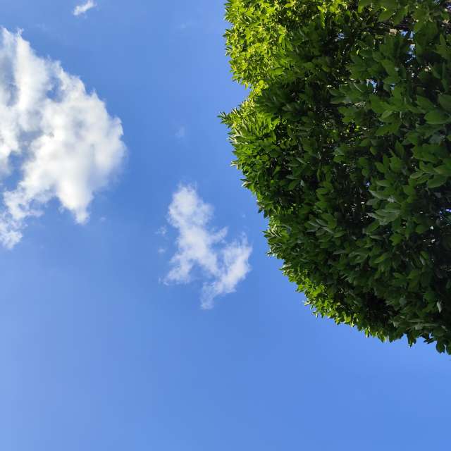Weather forecasts with beautiful photos by Lupsaman