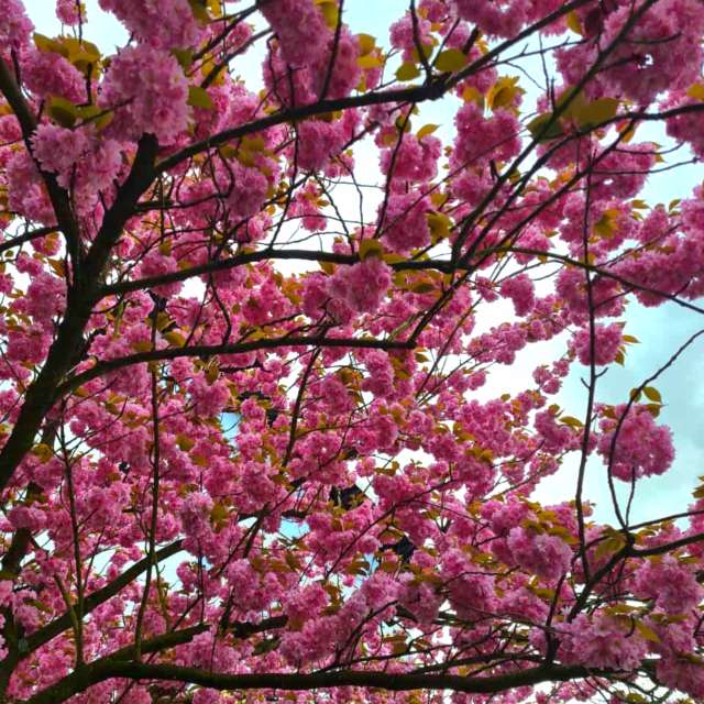 Фото Bank. Прогнозы погоды с чудесными фотографиями, сделанными Seni в Фельберт