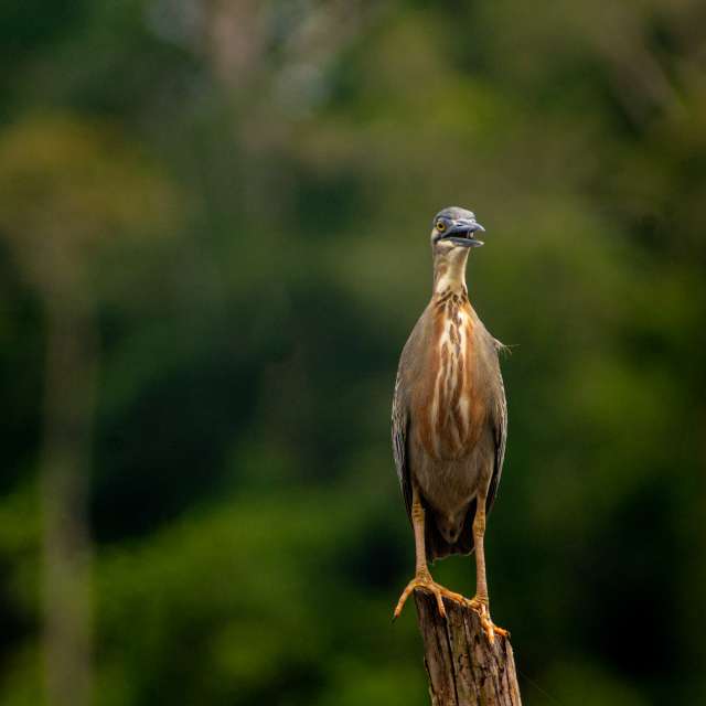 Prévisions météo avec de superbes photos de Estefania Gonzalez Espitia