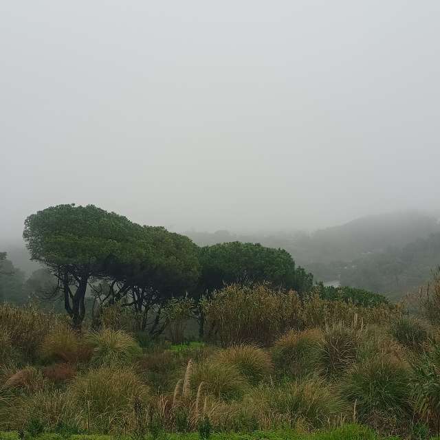 Prévisions météo avec de superbes photos de Joaquim Fonseca