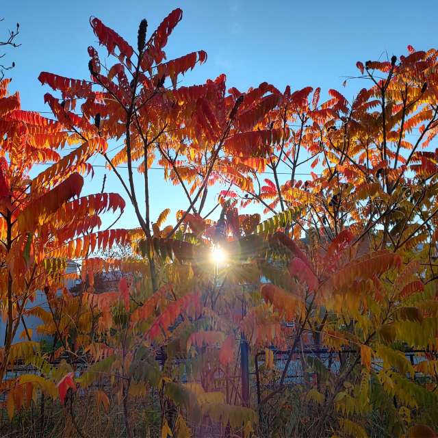 Fotos Clima. Previsões do tempo com lindas fotos de drollted em Česká Třebová
