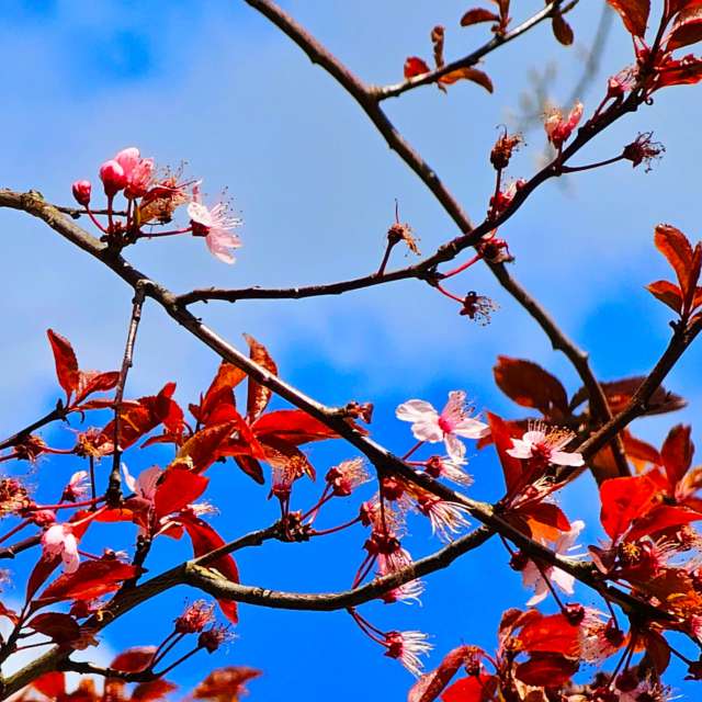 Fotos Palma. Previsões do tempo com lindas fotos de Seni em Velbert