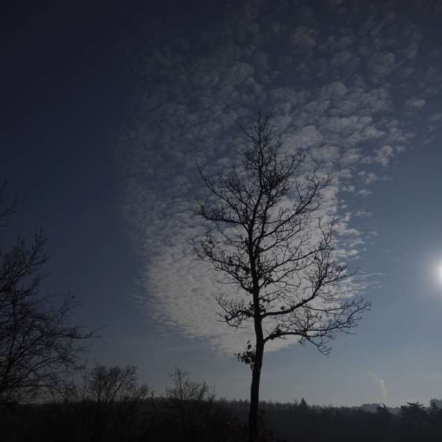 Fotos Escuro. Previsões do tempo com lindas fotos de Vasek325 em Praha 5