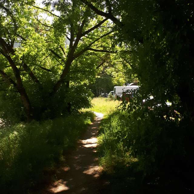 Previsões do tempo com lindas fotos de tipgol