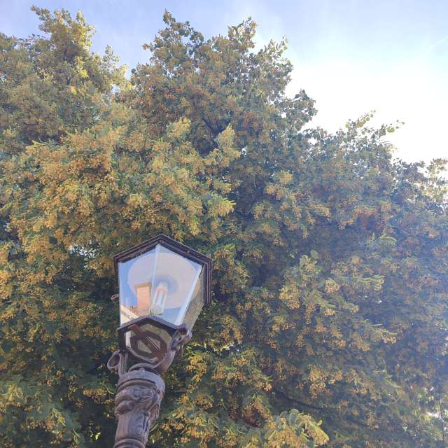 High. Weather forecasts with beautiful photos by Tercis Photos in Ettlingen