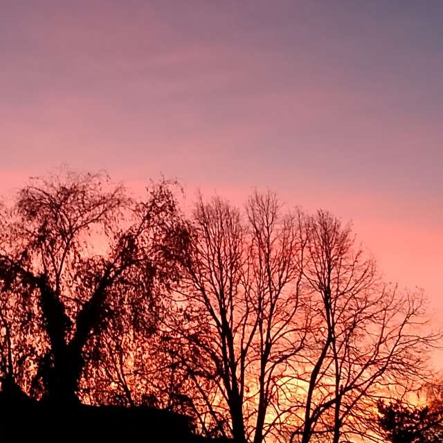 D-I-Eの美しい写真による天気予報