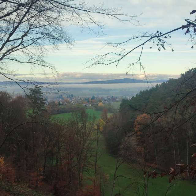 Sheep. Weather forecasts with beautiful photos by Nuvolari Photos in World