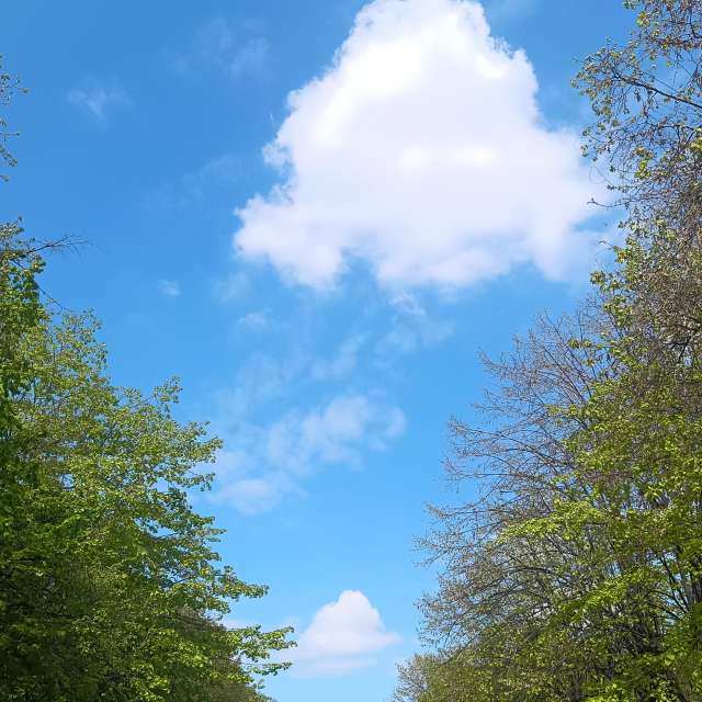 Fotos del De viaje. Pronósticos del tiempo con hermosas fotos de YanBog en București