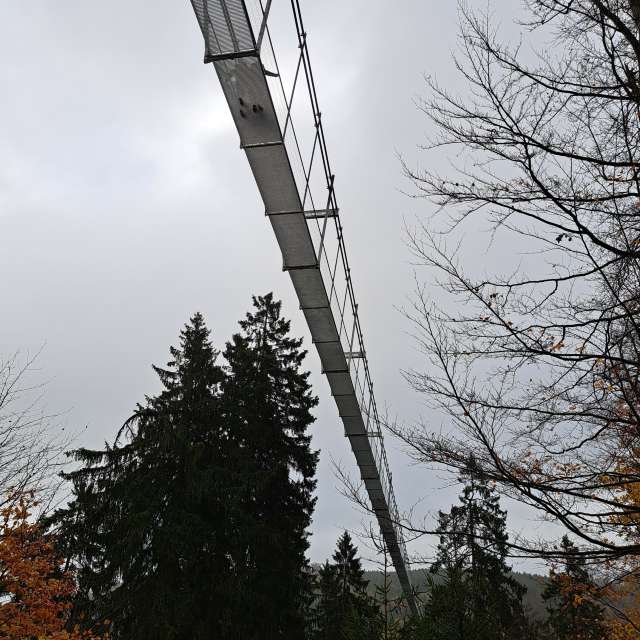 天气预报，带NikolausMinas精美的照片