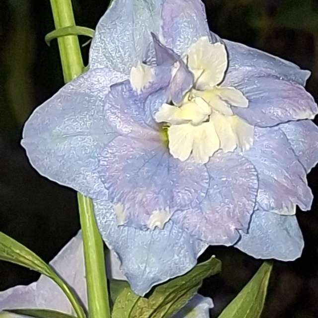 Filling. Weather forecasts with beautiful photos by Wen-ya Huang Photos in Kaohsiung City