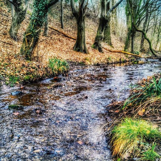 Weather forecasts with beautiful photos by Gweiland