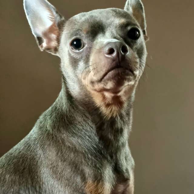 Weather forecasts with beautiful photos by Beorn