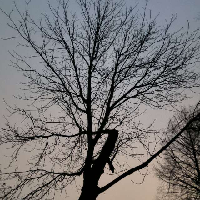 Previsões do tempo com lindas fotos de YanBog