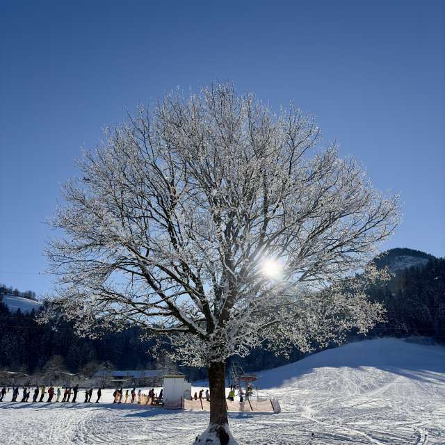 Prévisions météo avec de superbes photos de Riverbird