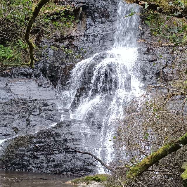 ALopezの美しい写真による天気予報