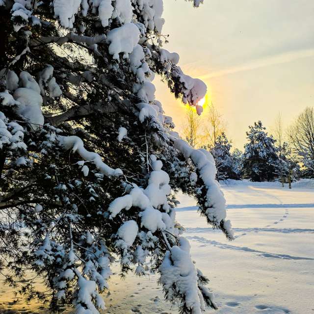 Stroganov_4の美しい写真による天気予報
