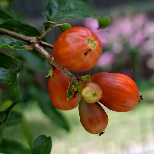 Orange. Weather forecasts with beautiful photos by Wen-ya Huang Photos in Kaohsiung City