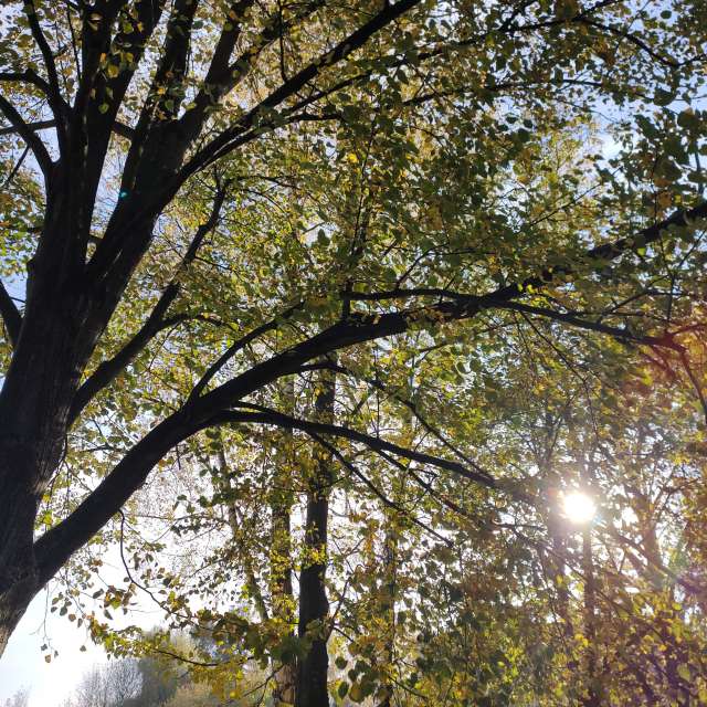Fotos Clima. Previsões do tempo com lindas fotos de drollted em Česká Třebová