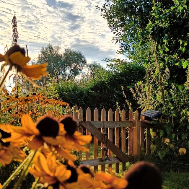 Previsões do tempo com lindas fotos de Muschelschloss
