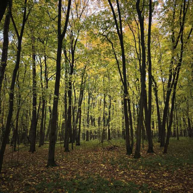 Weather forecasts with beautiful photos by Amanda_and_Valdemar_Che