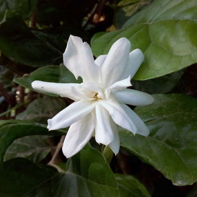 天气预报，带Yunior精美的照片