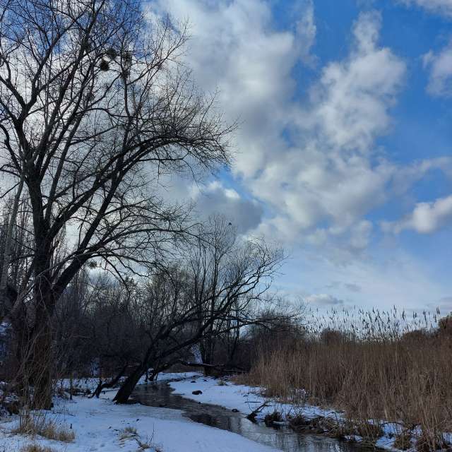 Sky. Weather forecasts with beautiful photos by Iryna Photos in Kharkiv