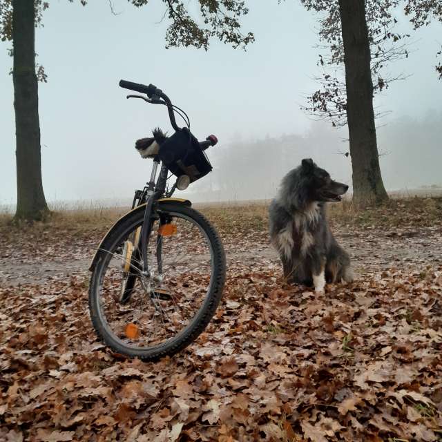 Weather forecasts with beautiful photos by Ute-Eleonore