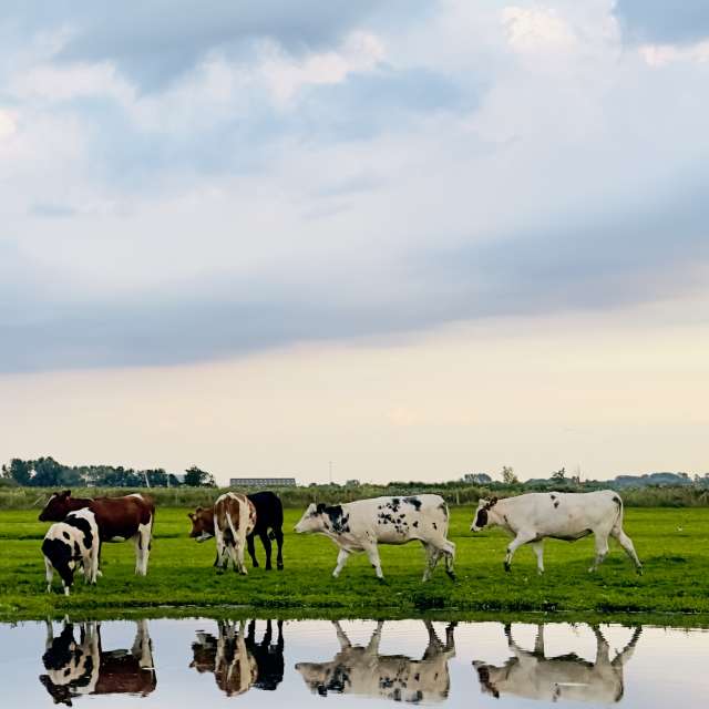 Prévisions météo avec de superbes photos de Riverbird