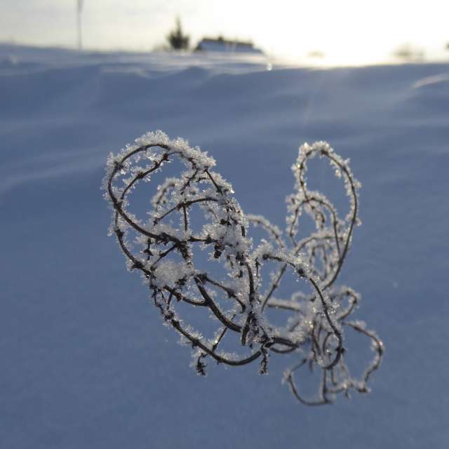 AlmaGenute53の美しい写真による天気予報