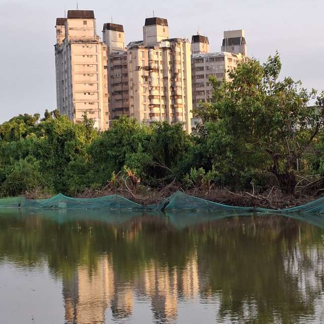 Photos Sablonneux. Prévisions météo avec de superbes photos de Wen-ya Huang de Kaohsiung