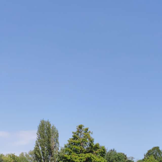 Prévisions météo avec de superbes photos de YanBog