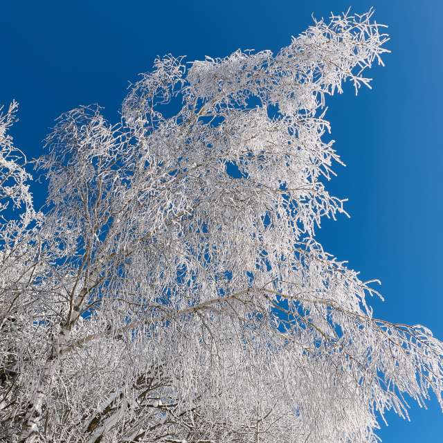 Прогнозы погоды с чудесными фотографиями, сделанными Aleh_Narushevich