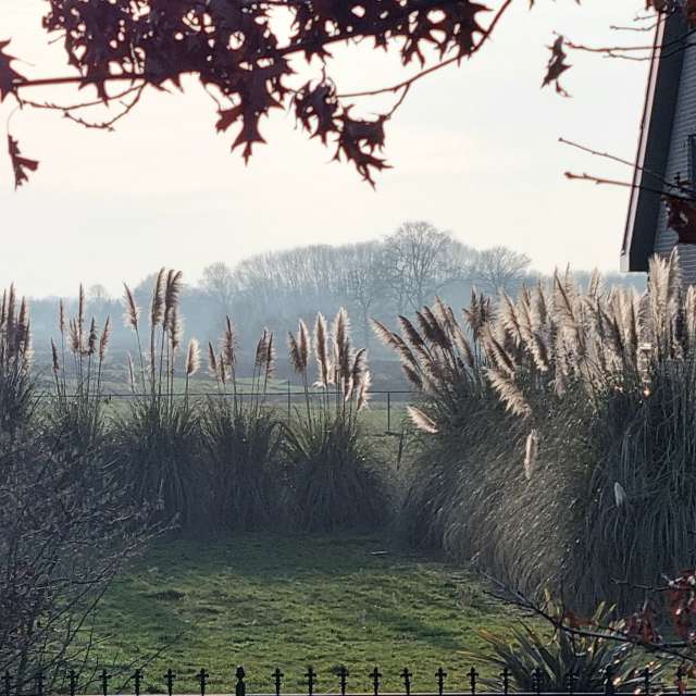 Greetの美しい写真による天気予報