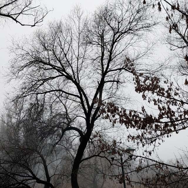 Open air. Weather forecasts with beautiful photos by Iryna Photos in Kharkiv