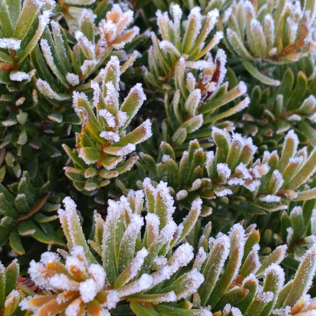 Prévisions météo avec de superbes photos de UnKKas