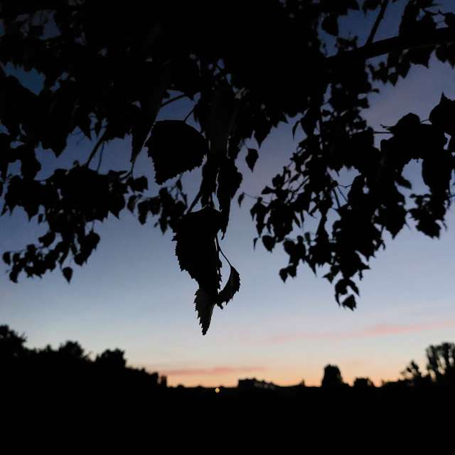 Distance. Weather forecasts with beautiful photos by Iryna Photos in Kharkiv