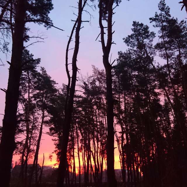 Stop. Weather forecasts with beautiful photos by Михаил Гавриков Photos in Kharkiv