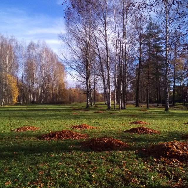 Fotos sobre el clima en Mundo. Pronósticos del tiempo con hermosas fotos de Prohojiy
