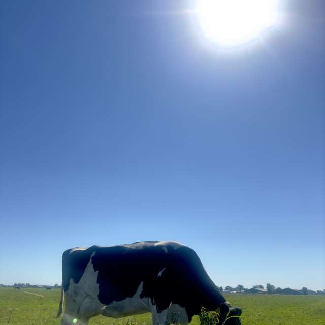 Prévisions météo avec de superbes photos de Riverbird