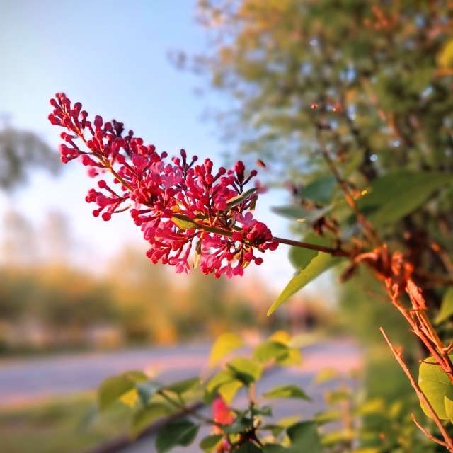 Previsões do tempo com lindas fotos de msolita88
