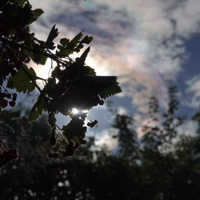 Fotos Floresta. Previsões do tempo com lindas fotos de Vasek325 em Praha 5