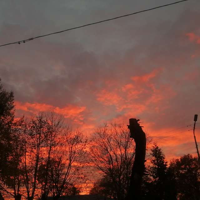 天气预报，带Gelimina_lion精美的照片