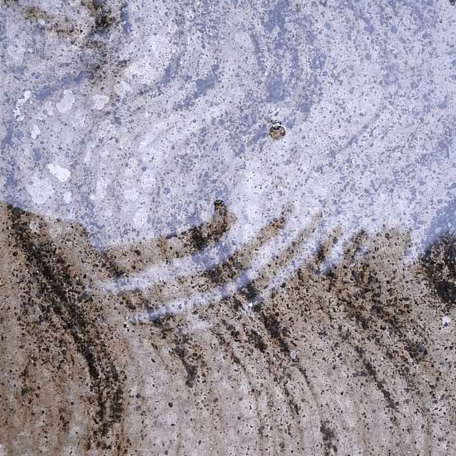 Katze. Wettervorhersagen mit schönen Fotos von Wen-ya Huang Fotos Kaohsiung
