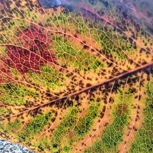 Прогнозы погоды с чудесными фотографиями, сделанными Allisong